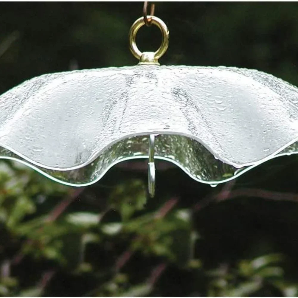 Birds Choice WGCLEAR Weatherguard, Weather-Resistant Acrylic Bird Feeder Guard